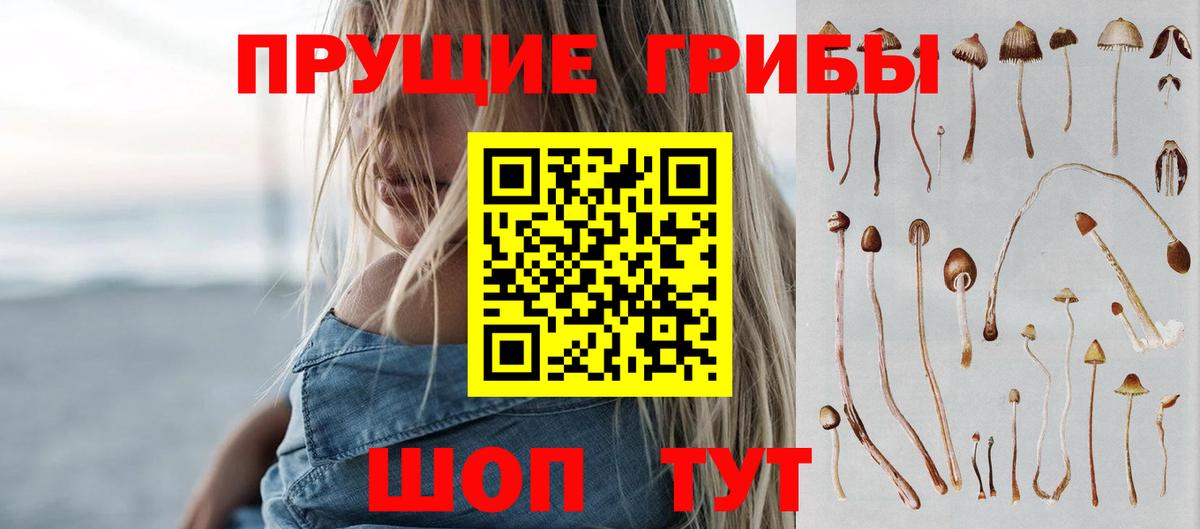 Галлюциногенные грибы Psilocybe  Вход с VPN  Тобольск  Псилоцибиновые грибы Cubensis 